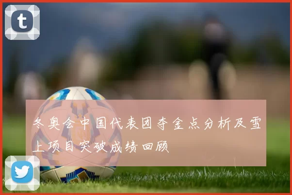 冬奥会中国代表团夺金点分析及雪上项目突破成绩回顾
