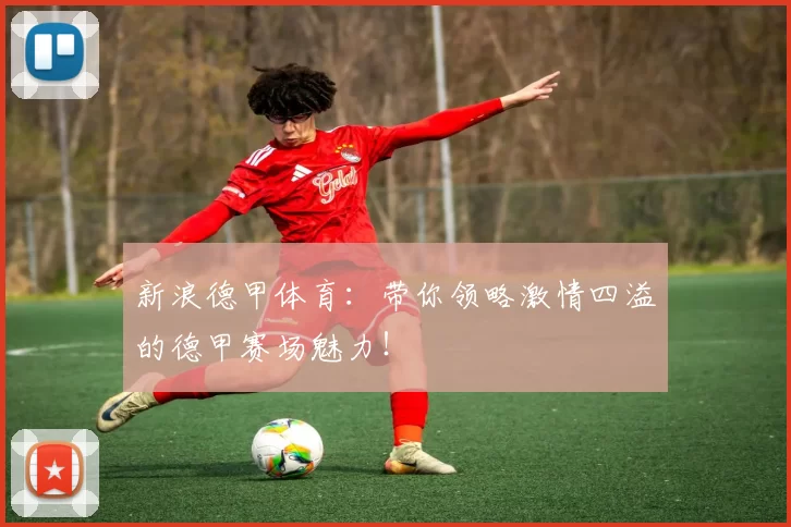 新浪德甲体育：带你领略激情四溢的德甲赛场魅力！